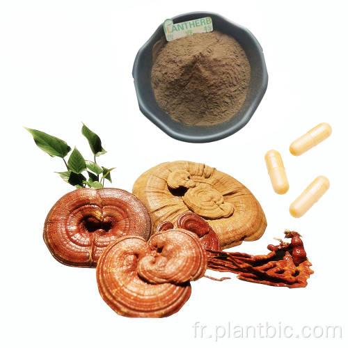 Polysaccharide d&#39;extrait de champignon Reishi Ganoderma lucidum